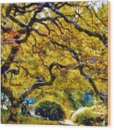 Japanese Maple In Washington Park Wood Print