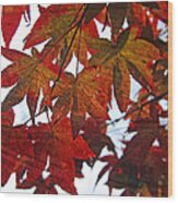 Japanese Maple Leaves With Woodgrain Wood Print