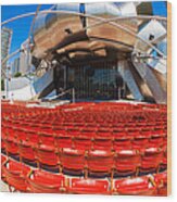 Jay Pritzker Pavilion Wood Print