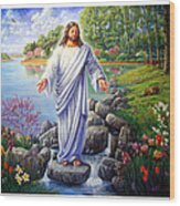 Jesus In The Ozarks Wood Print