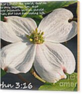 John 3-16/dogwood Legend Wood Print