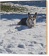 Johnny In The Snow Wood Print