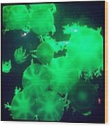 Jolly Green Jellyfish Wood Print