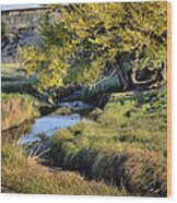 Jordan Creek Autumn Wood Print