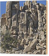 Joshua Tree Rock Formations Wood Print