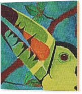 Keel-billed Toucan Wood Print