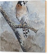 Kestrel Perch Wood Print