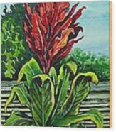 Kim Dracena Wood Print