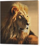 King Lion Of Africa Wood Print