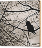 Kingfisher Silhouette Wood Print