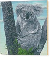 Koala Wood Print