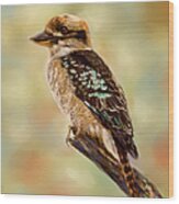 Kookaburra - Australian Bird Painting Wood Print