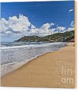 La Biodola Beach - Isle Of Elba Wood Print