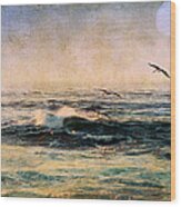 La Jolla Seascape Wood Print