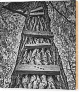 Ladder To The Treehouse Wood Print