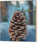 Lake Tahoe Pine Cone Wood Print