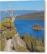 Lake Tahoe Reaching Tree Wood Print