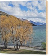 Lake Wakatipu, Queenstown Wood Print