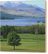 Lakes Of Killarney - Killarney National Park - Ireland Wood Print