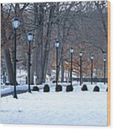 Lamp Posts At The Pond Wood Print