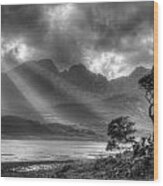 Lonely Tree. Landscape Of The Scottish Highlands In Scotland Wood Print