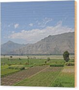 Landscape Of Mountains Sky And Fields Swat Valley Pakistan Wood Print