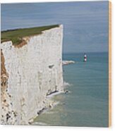 Landscape Of The South Downs Wood Print