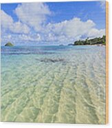 Lanikai Beach Mid Day Ripples In The Sand 2 To 1 Aspect Ratio Wood Print