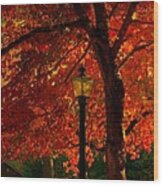 Lantern In Autumn Wood Print