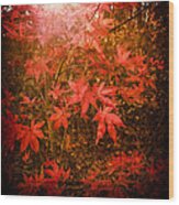 Last Color Of Autumn Wood Print