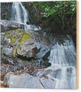 Laurel Falls Wood Print