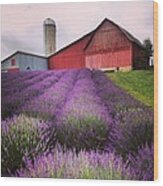 Lavender Farm Landscape Wood Print