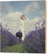 Lavender Field Wood Print
