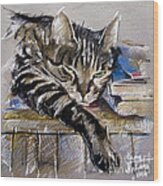 Lazy Cat Portrait - Drawing Wood Print