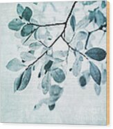 Leaves In Dusty Blue Wood Print