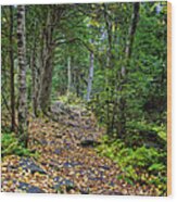 Leaves On Trail Wood Print