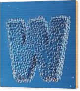 Letter W Underwater With Bubbles Wood Print