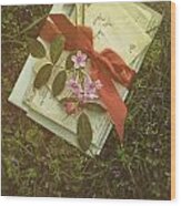 Letters With Red Satin Ribbon In The Grass Wood Print