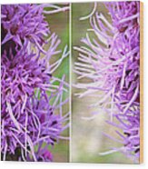 Liatris Flowers In Stereo Wood Print