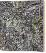 Lichen And Moss Wood Print