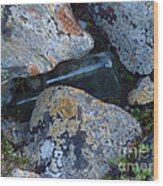 Lichen Rocks And Bottle Wood Print