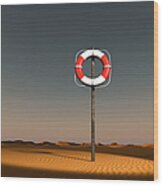 Life Buoy In A Desert Wood Print