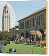 Life Down On The Farm Under The Moon Stanford University California With Text Dsc685 Wood Print