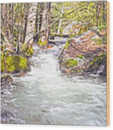 Light And Shadows Along Tenaya Creek Wood Print