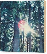 #light #trees #weather #washington Wood Print