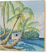 Lighthouse Reef Belize Wood Print