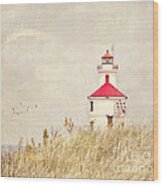 Lighthouse With Red Roof Wood Print