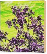 Lilac Tree Wood Print