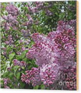 Lilacs Wood Print