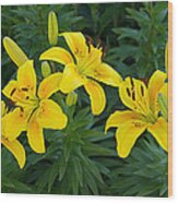 Lilies In Yellow Wood Print